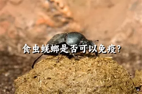 食虫蜣螂是否可以免疫？