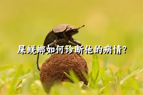 屎蜣螂如何诊断他的病情？