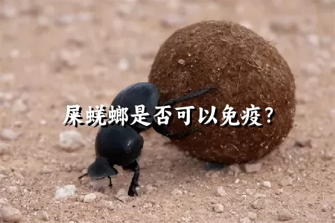 屎蜣螂是否可以免疫？