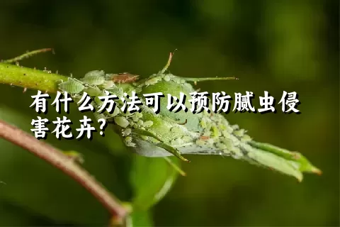 有什么方法可以预防腻虫侵害花卉?