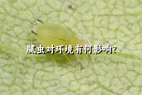 腻虫对环境有何影响？