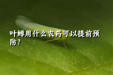 叶蝉用什么农药可以提前预防？