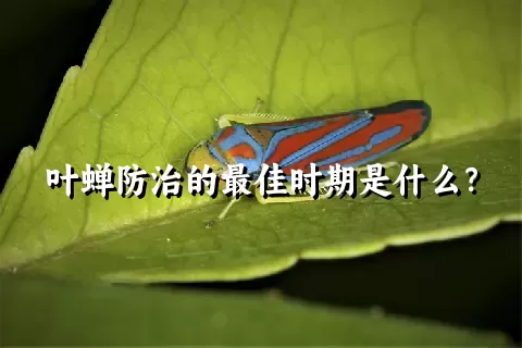 叶蝉防治的最佳时期是什么？