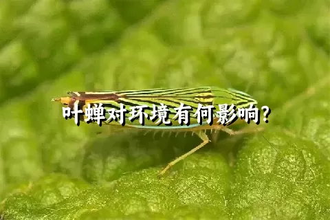 叶蝉对环境有何影响？