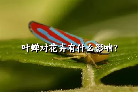 叶蝉对花卉有什么影响？