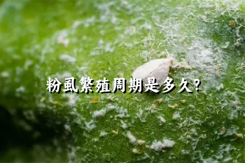 粉虱繁殖周期是多久？