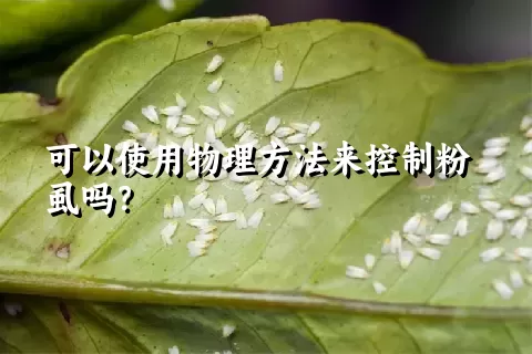 可以使用物理方法来控制粉虱吗？