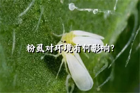 粉虱对环境有何影响？