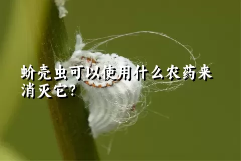 蚧壳虫可以使用什么农药来消灭它？