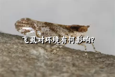 飞虱对环境有何影响？