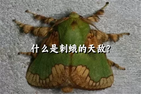 什么是刺蛾的天敌？