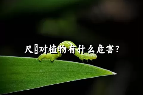 尺蠌对植物有什么危害？