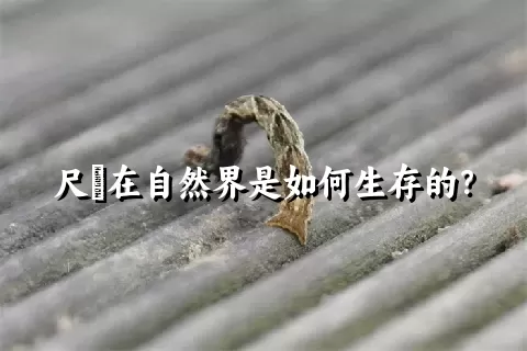 尺蠌在自然界是如何生存的？