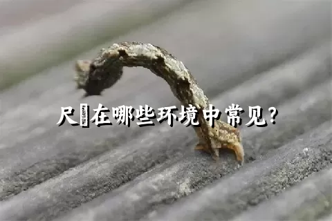 尺蠌在哪些环境中常见？