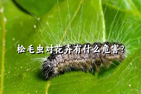 松毛虫对花卉有什么危害？