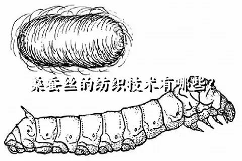 桑蚕丝的纺织技术有哪些？