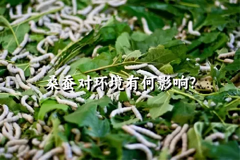 桑蚕对环境有何影响？