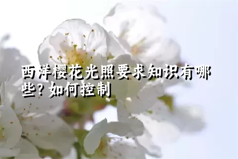 西洋樱花光照要求知识有哪些？如何控制