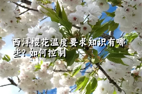 西洋樱花温度要求知识有哪些？如何控制