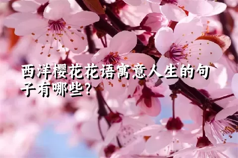 西洋樱花花语寓意人生的句子有哪些？