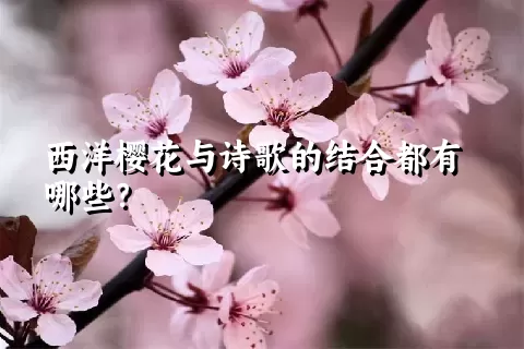 西洋樱花与诗歌的结合都有哪些？