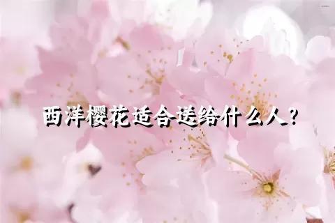 西洋樱花适合送给什么人？