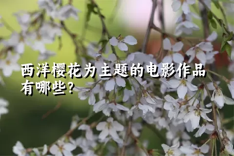 西洋樱花为主题的电影作品有哪些？