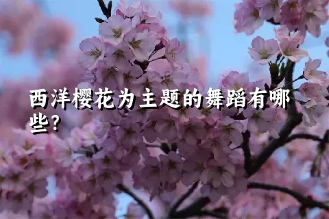 西洋樱花为主题的舞蹈有哪些？