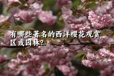 有哪些著名的西洋樱花观赏区或园林？