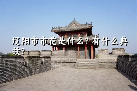 辽阳市市花是什么？有什么典故？