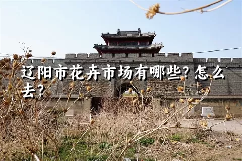 辽阳市花卉市场有哪些？怎么去？