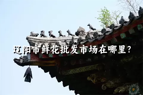 辽阳市鲜花批发市场在哪里？