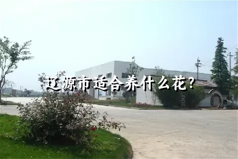 辽源市适合养什么花？