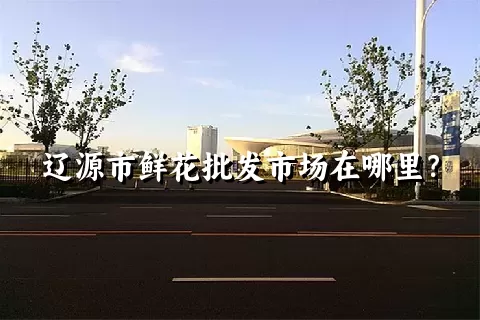 辽源市鲜花批发市场在哪里？