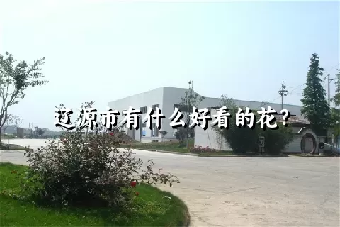 辽源市有什么好看的花？