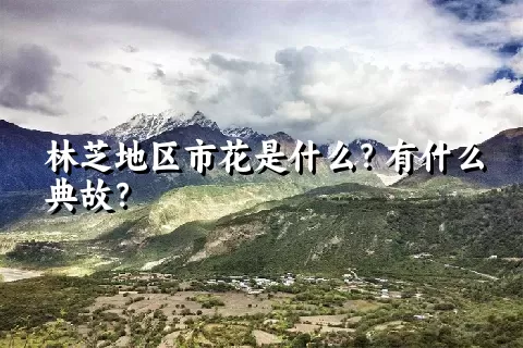 林芝地区市花是什么？有什么典故？