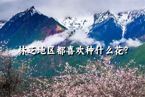 林芝地区都喜欢种什么花？