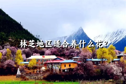 林芝地区适合养什么花？