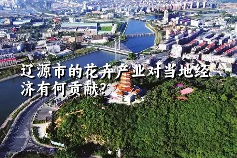 辽源市的花卉产业对当地经济有何贡献？