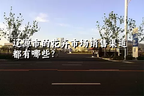 辽源市的花卉市场销售渠道都有哪些？