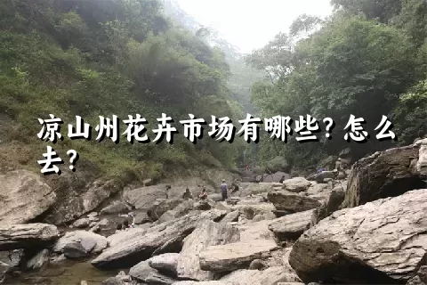 凉山州花卉市场有哪些？怎么去？