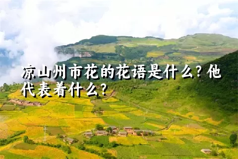 凉山州市花的花语是什么？他代表着什么？