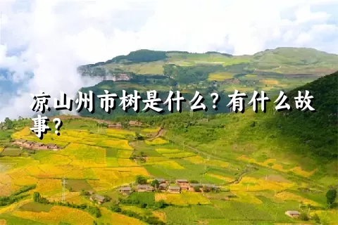 凉山州市树是什么？有什么故事？