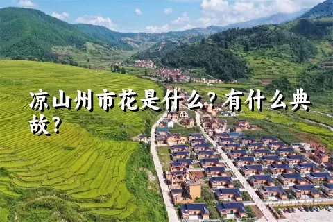 凉山州市花是什么？有什么典故？