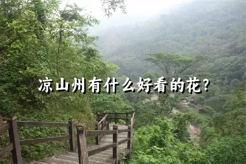 凉山州有什么好看的花？