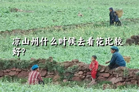 凉山州什么时候去看花比较好？