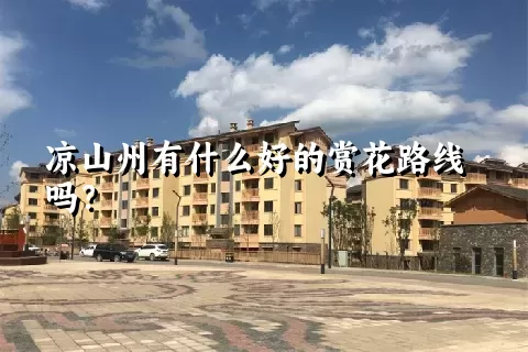 凉山州有什么好的赏花路线吗？