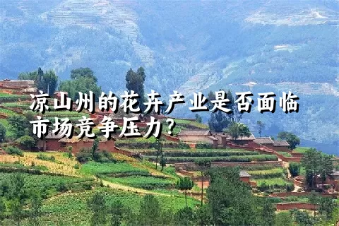 凉山州的花卉产业是否面临市场竞争压力？