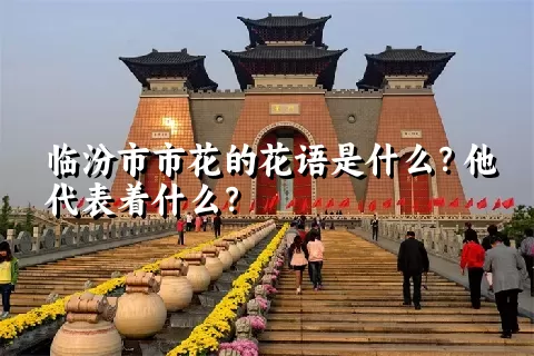 临汾市市花的花语是什么？他代表着什么？