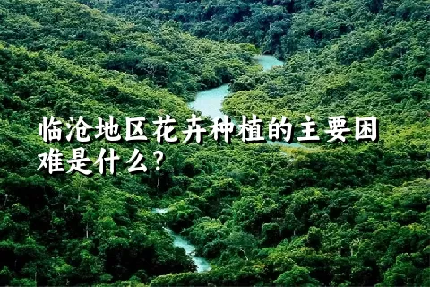 临沧地区花卉种植的主要困难是什么？